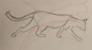 Cats are Really Just Made of Triangles