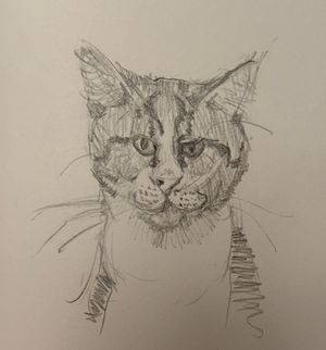 Friends-giving-day Cat