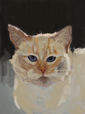 Toast, Painted