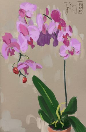 Pink Orchid