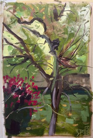 Pear Tree Sketch