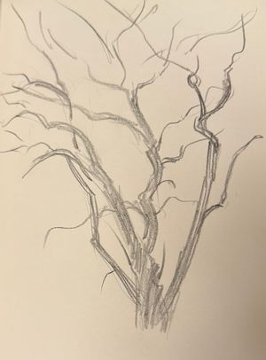 Weird Tree Sketch