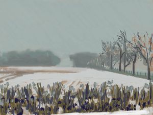 Foggy, Snowy Field