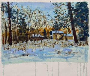 Winter Morning Through the Trees