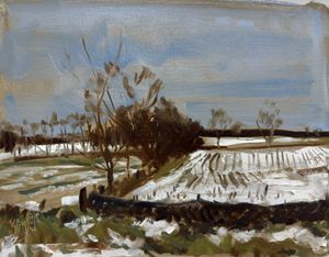 Snowy Fields