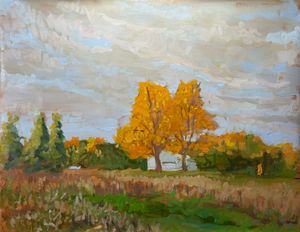 Day Three for Orange Trees