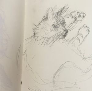 3.5 Minute Alva Life Sketch