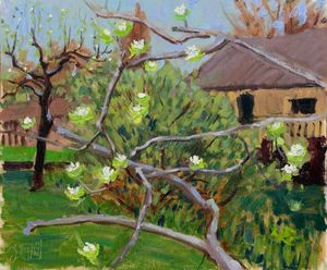 Pear Tree Blossoms Pt. 2