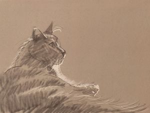 Alva Sketch