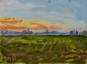 Sunset Fields