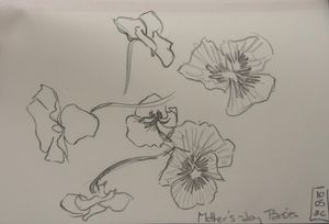 Mother’s Day Pansies