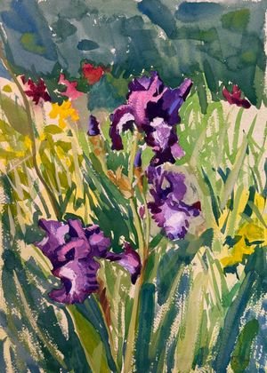 Hannah's Irises