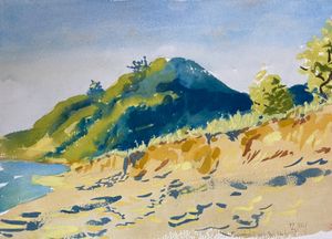 Lake Michigan Dunes