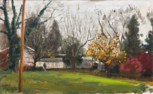 Almost Gone (Overcast Late Fall Day)