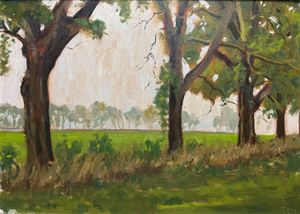 Foggy Trees on Field's Edge