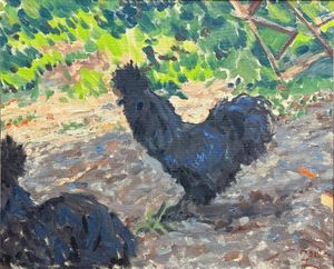 Taylor's Chickens