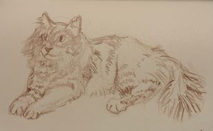 Alva on the Cedar Chest