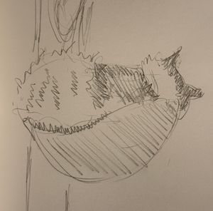 Alva Sleeping