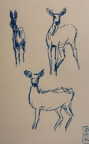 Oh Deer, I've Run Out of Things to Sketch