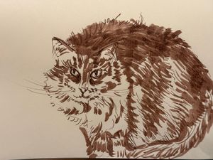 A Quick Sketch of Kitty