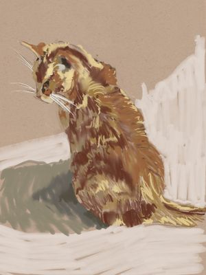 Color Sketch