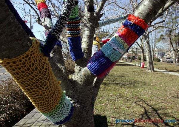 Mysterious knitted cozies have been appearing   around trees and lamp posts at Wilbraham Park in West Cape May since the   end of February. It is still a mystery as to who may be draping the   park in the knitted artwork.  Monday  Mar.  8,  2010.    (Dale Gerhard   /Press of Atlantic City). 
