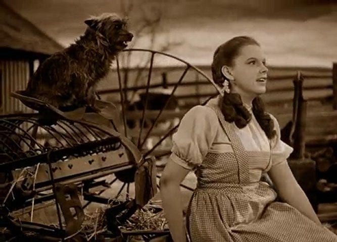 May: Classic 30s Movie Month