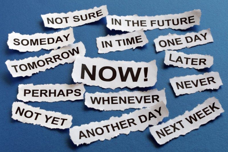Writing and the Creative Life: “The Power of Structured Procrastination”