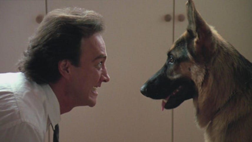 Daily Dialogue theme next week: Dog