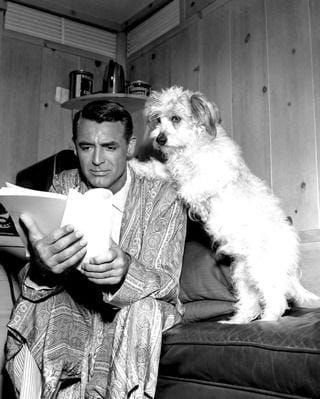 Screenplays are stories, not formulas