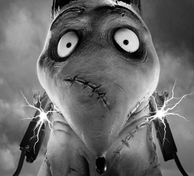 Script Analysis: “Frankenweenie” — Part 5: Takeaways