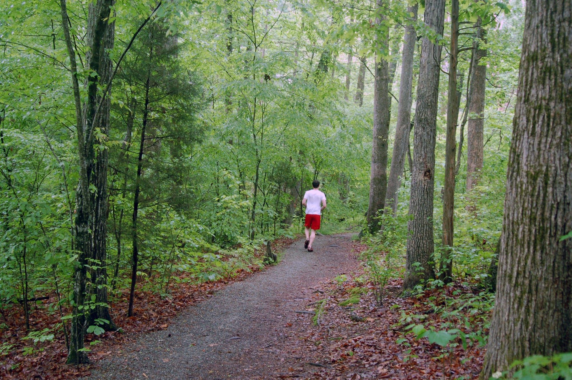 FADE OUT: Chapel Hill