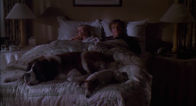 Daily Dialogue theme for next week: Pets