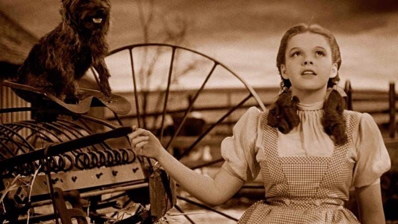 Character Archetypes: “The Wizard of Oz”