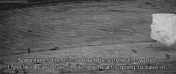 Script To Screen: “American Beauty”