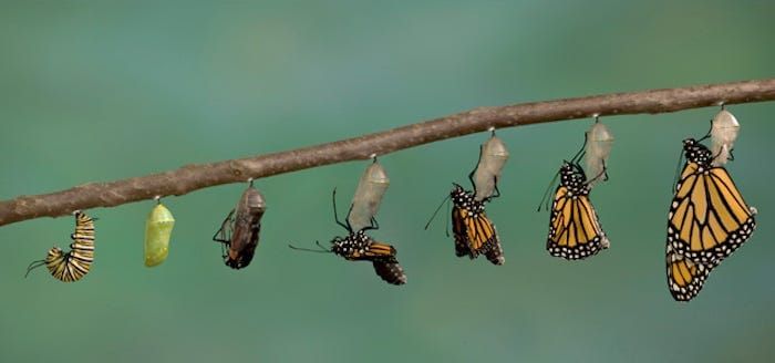 Reader Question: Is a character’s transformation dictated by events or reactions to them?