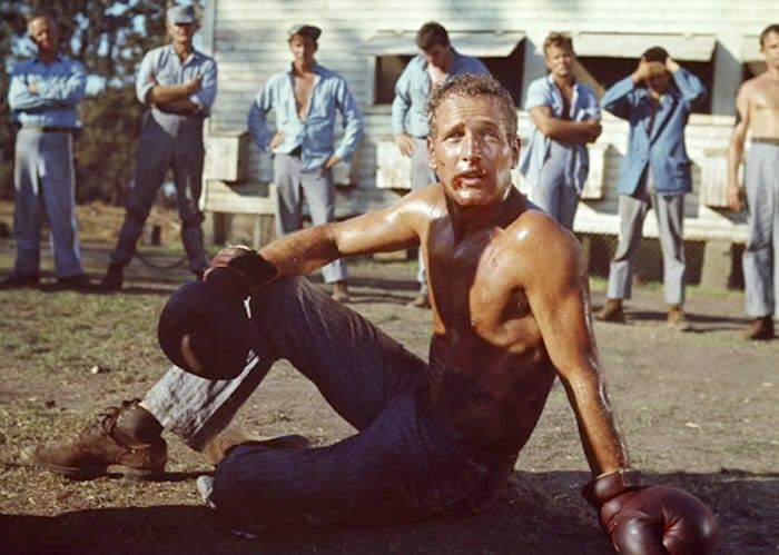 Script To Screen: “Cool Hand Luke”