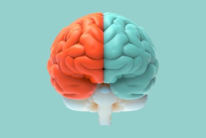 Two Writing Functions: Receptive and Executive