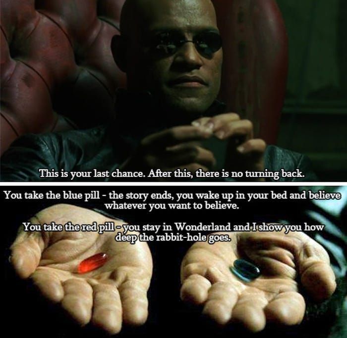 Great Scene: “The Matrix”