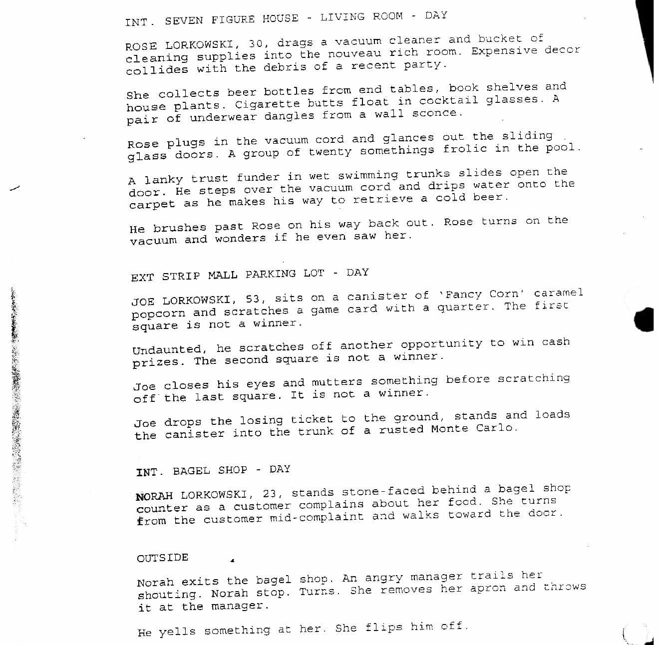 Page One: “Sunshine Cleaning” (2008)