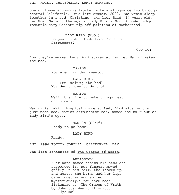 Page One: “Lady Bird” (2017)