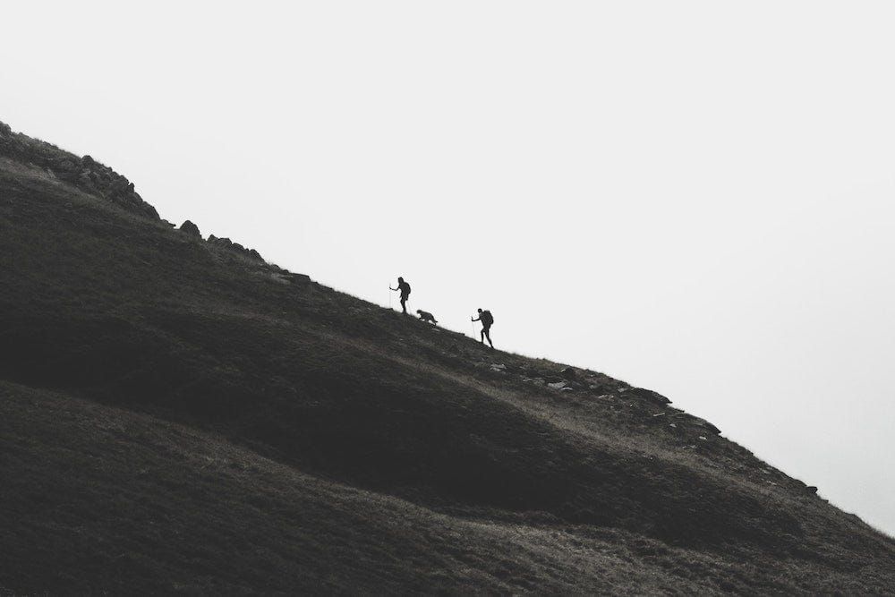The Importance of Persistence in a Writer’s Life