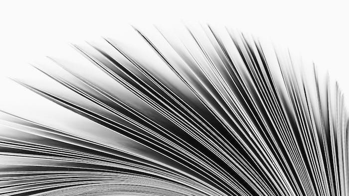 Question: Is an 80-page spec script too short?