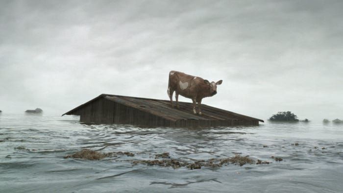 The Coen Brothers, Storytelling, and Fate