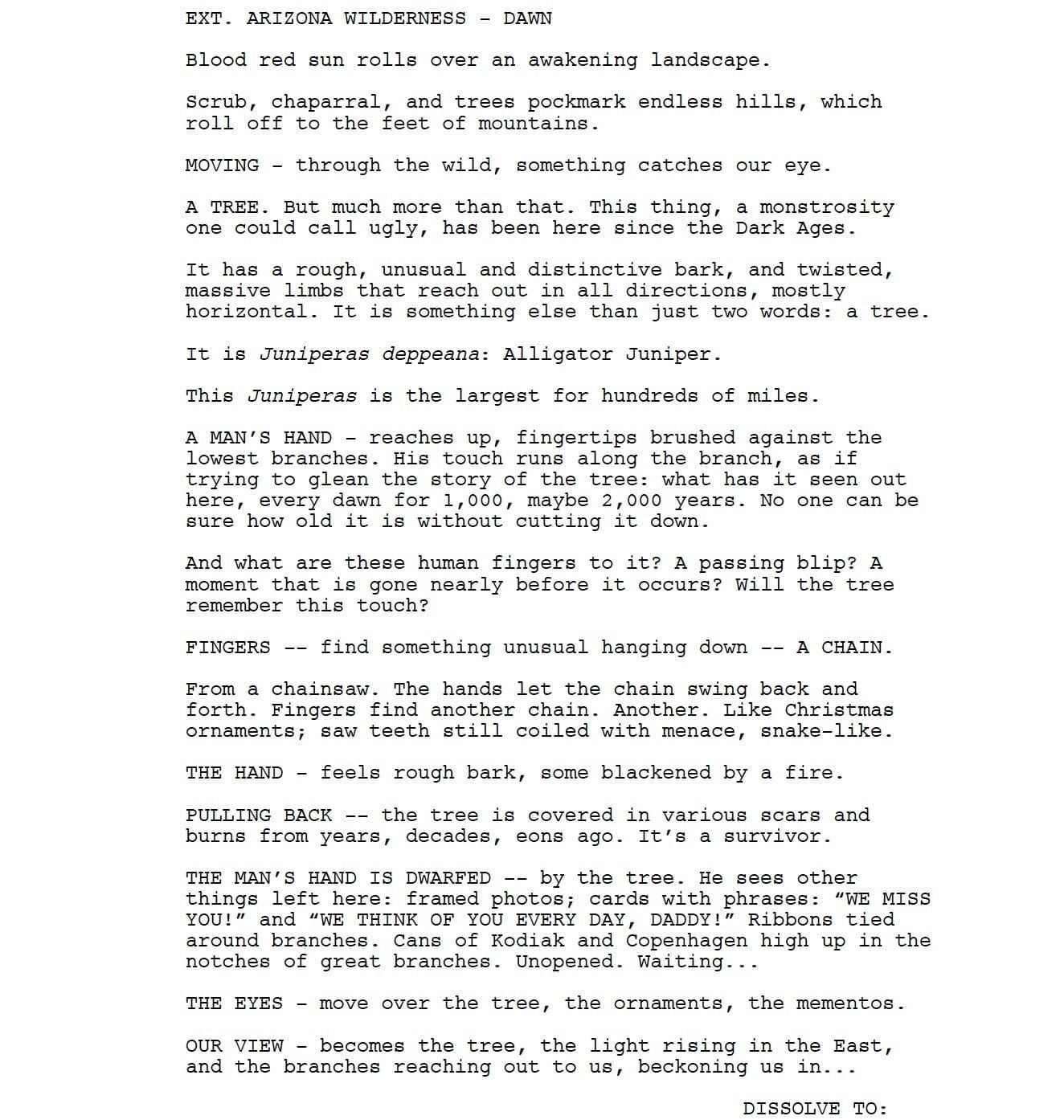 Page One: “Only the Brave” (2017)