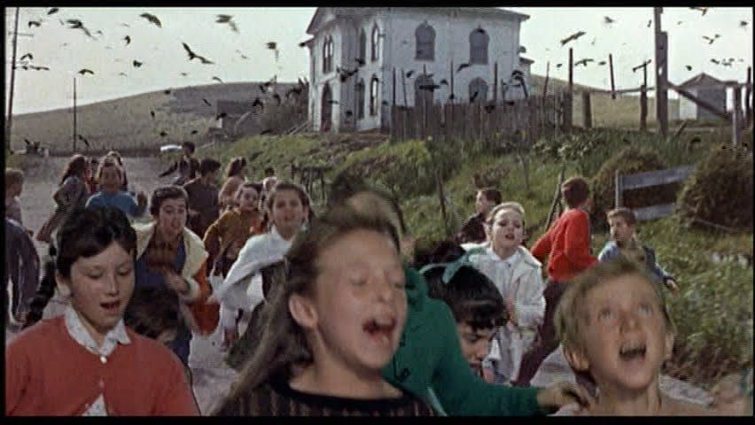 Script To Screen: “The Birds”