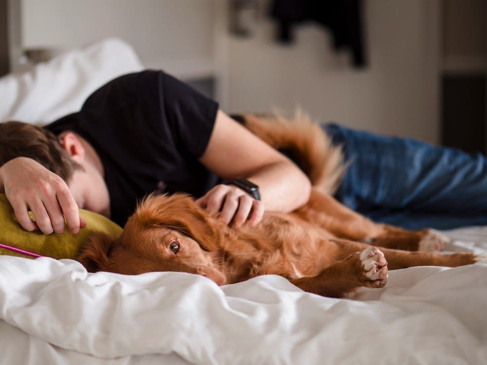 Writing and the Creative Life: One key to creativity… naps?