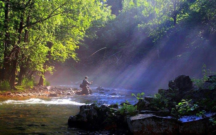 The Business of Screenwriting: Don’t stand in water where you should be fishing