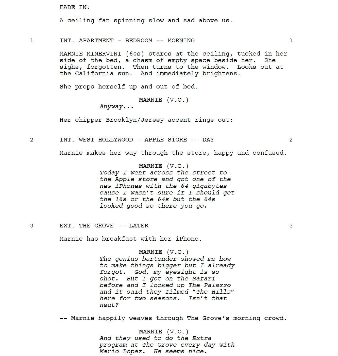 Page One: “The Meddler” (2015)
