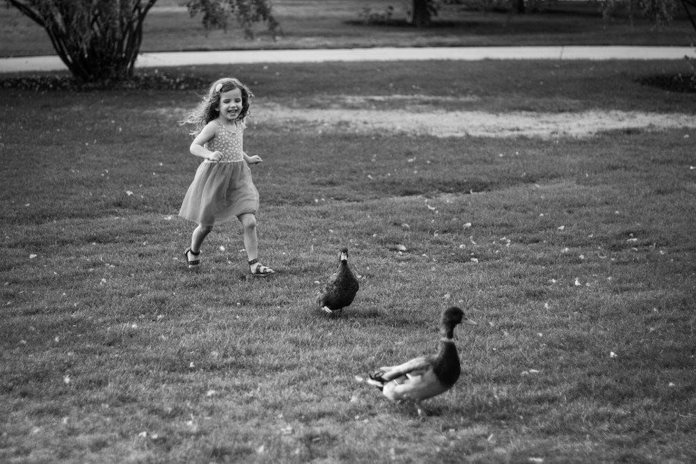 2023 Scene-Writing Challenge: Day 5